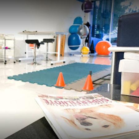UTI veterinária do HVPET Londrina — internação com monitoramento 24h